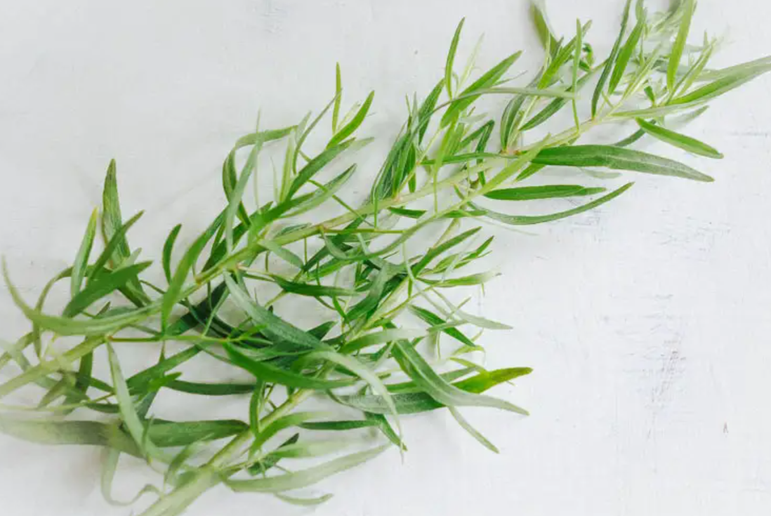 Tarragon is a signature herb for this recipe and cannot be replaced.